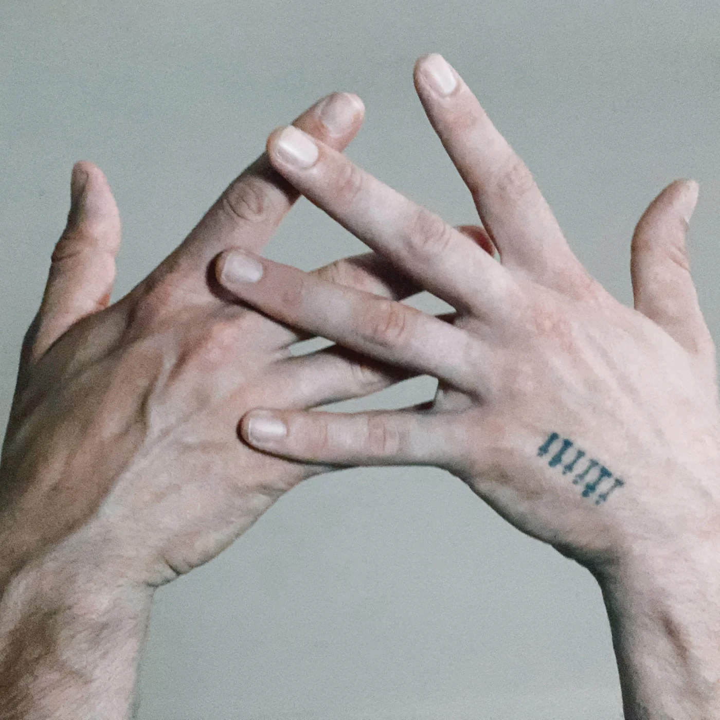 Alabaster Deplume - A Blade Because A Blade Is Whole ("That Was My Garden" Vinyl) (New Vinyl)
