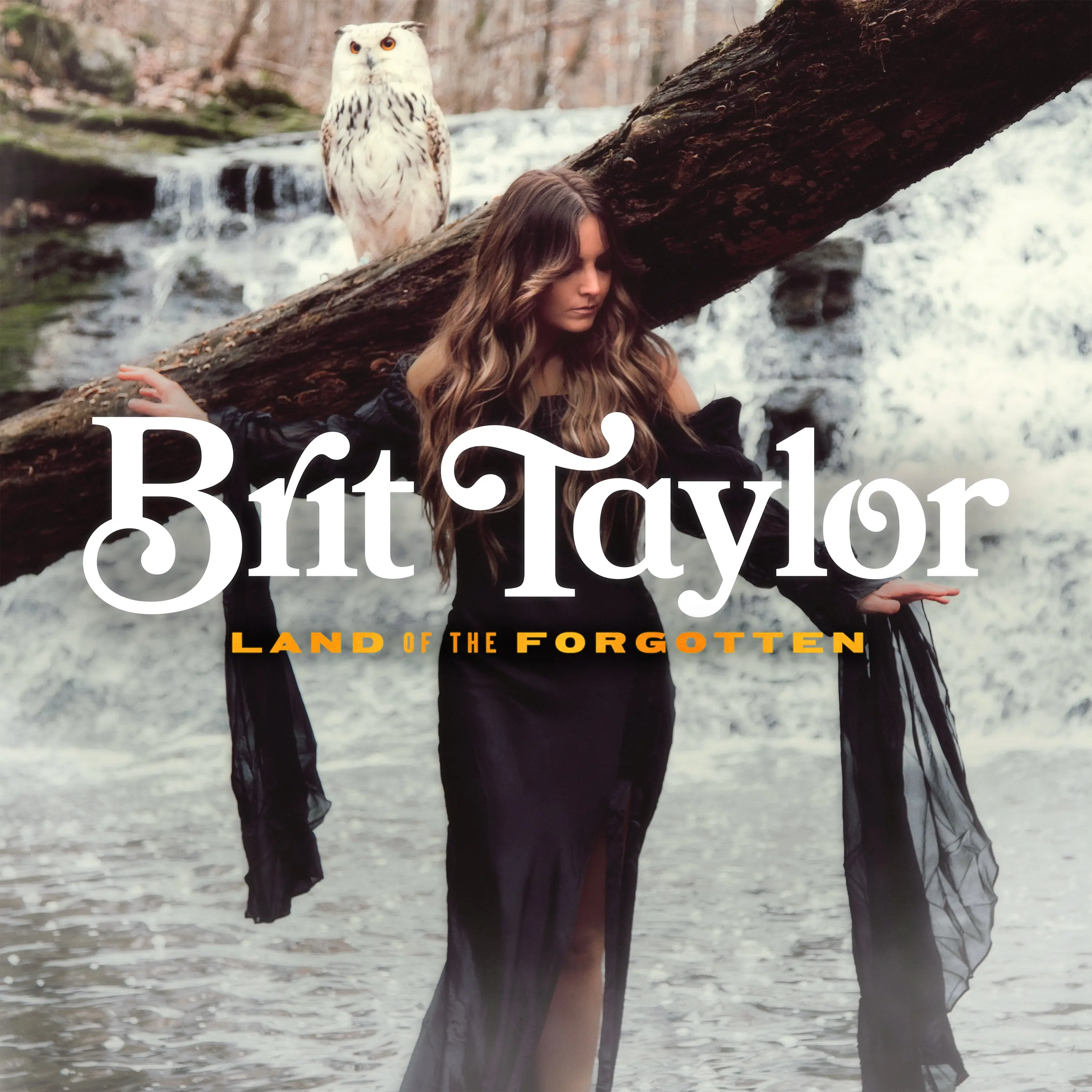 Brit Taylor - Land Of The Forgotten (New Vinyl)