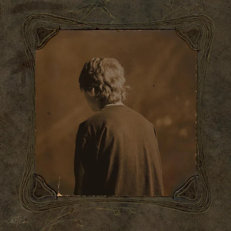 Ethel Cain - Willoughby Tucker, I'll Always Love You (2LP) (New Vinyl)