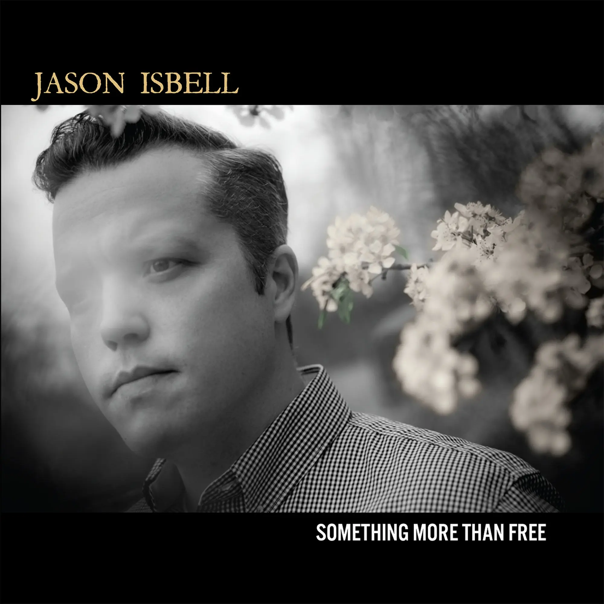 Jason Isbell - Something More Than Free (10 Year Anniversary Edition) (New Vinyl)