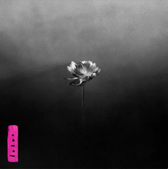 Little Simz - Lotus (New CD)