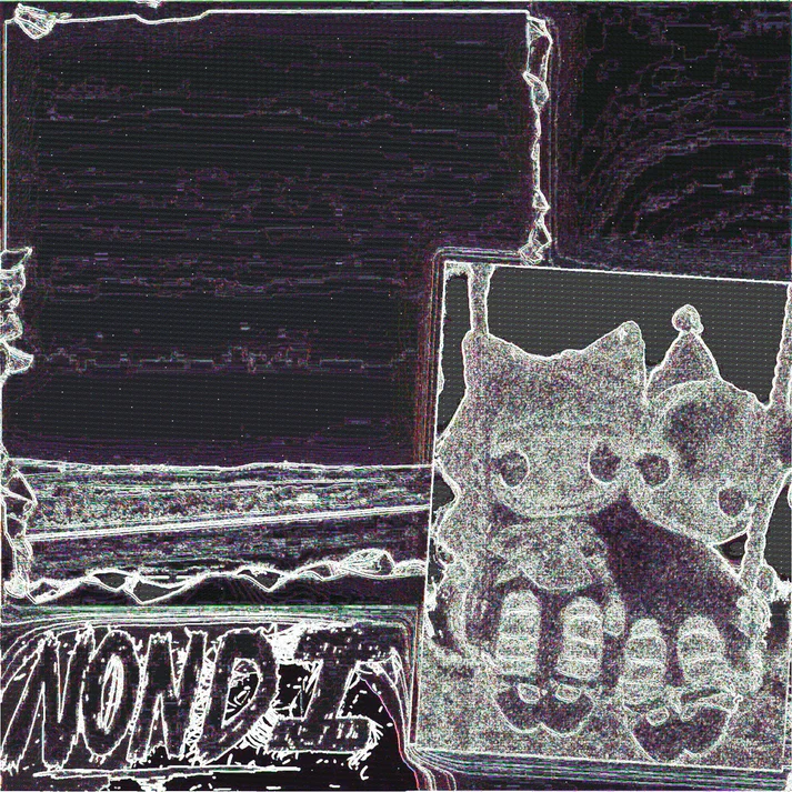 Nondi_ - Nondi... (New Vinyl)
