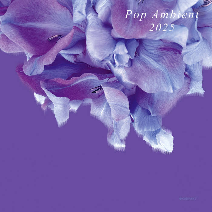 Various - Pop Ambient 2025 (New Vinyl)