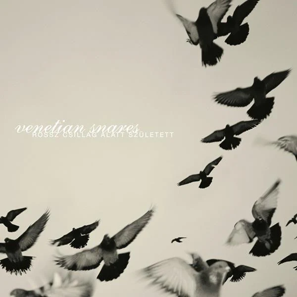 Venetian Snares - Rossz Csillag Allat Szuletett (New CD)