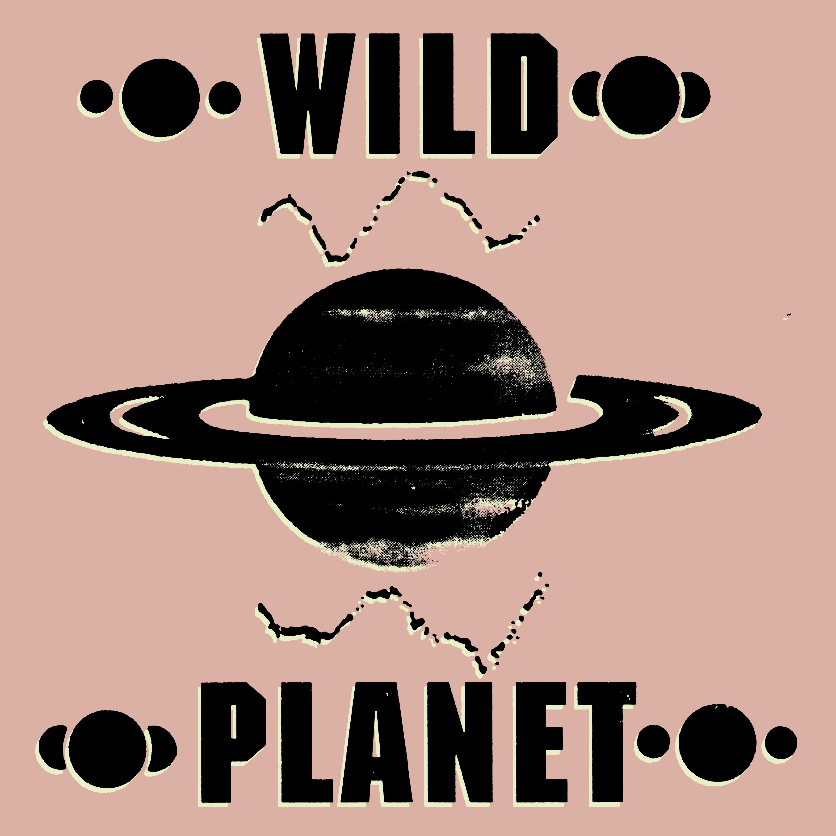 Wild Planet - Transmitter (New Vinyl)